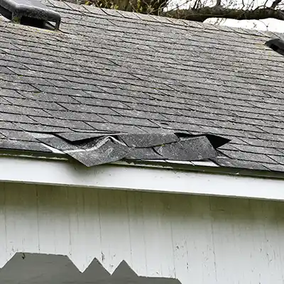 Roof with damaged shingles